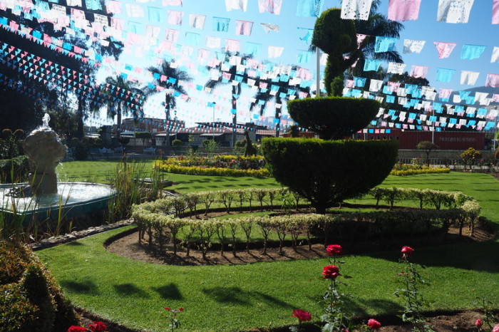 Day trip to the Valle de Tlacolula  - The beautiful church garden at El Tule