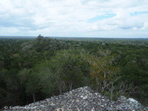 Views out over the Calakmul Biosphere from one of the pyramids, Calakmul, Campeche, Mexico